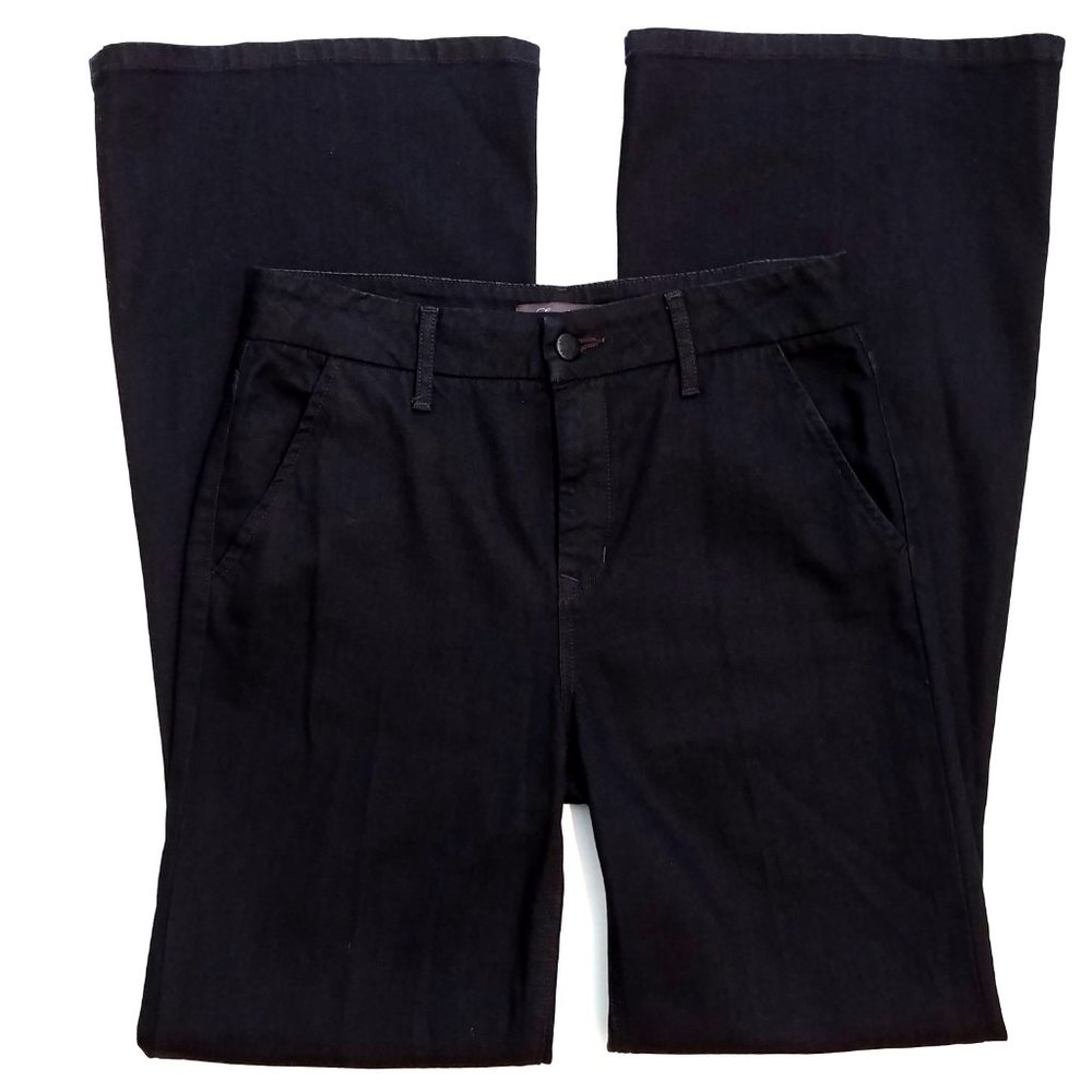 Anthro Level 99 Tanya High Rise Flare Jeans 27